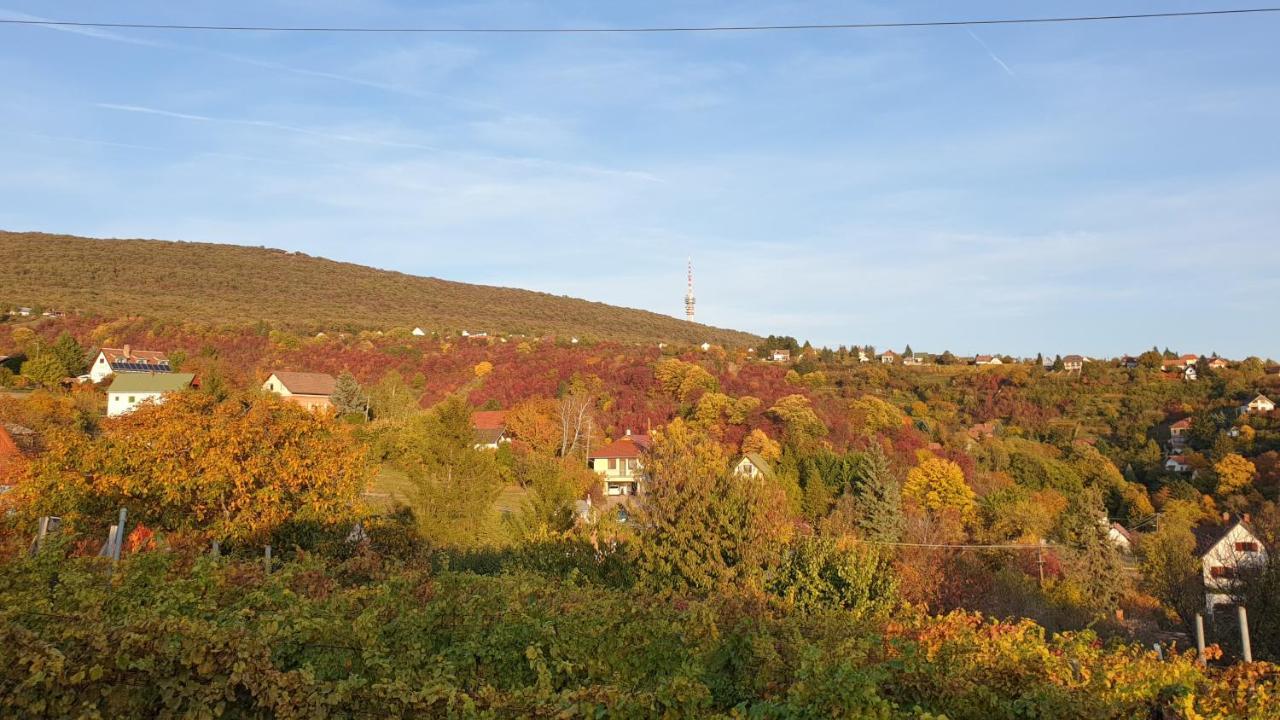 Hillside Cottage Pécs Eksteriør bilde